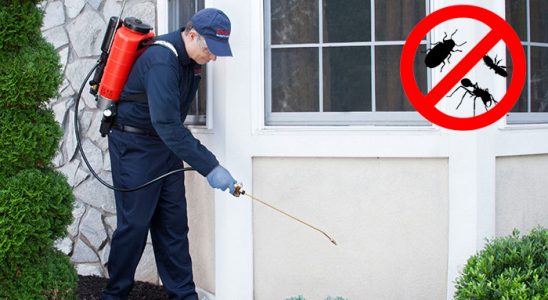 Pozantı Dezenfeksiyon böcek ilaçlama ve haşere kontrolü — ilaclama-tr.com